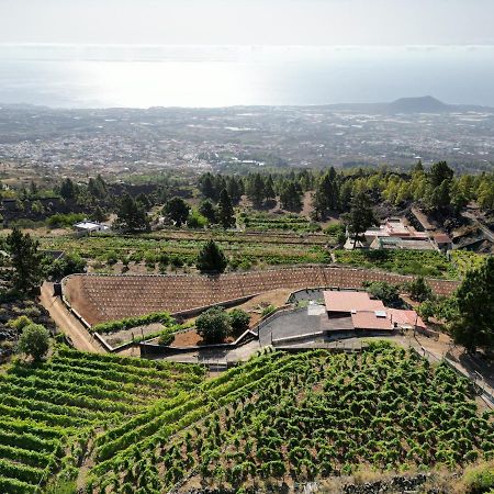 Finca Ecologica Ferrera. Alojamiento Rural. Arafo Eksteriør bilde