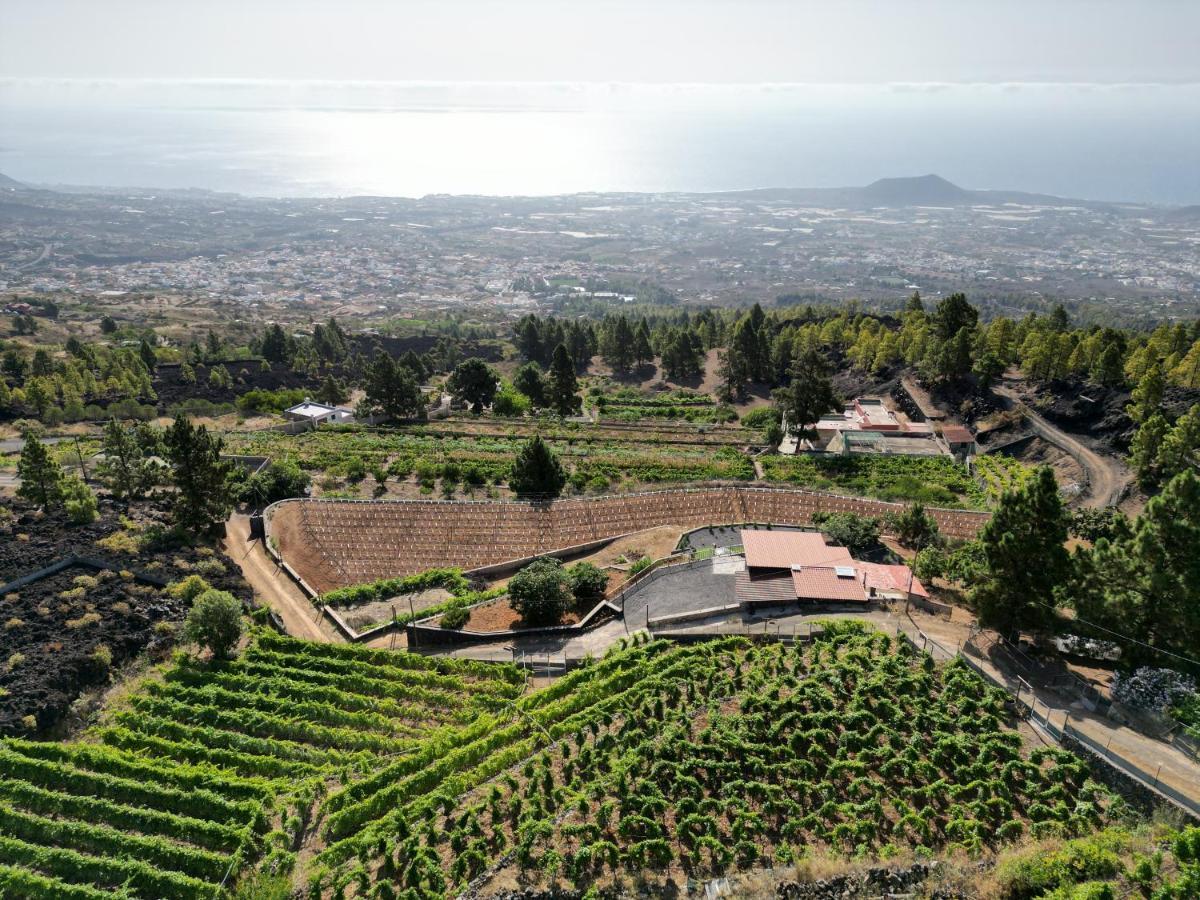 Finca Ecologica Ferrera. Alojamiento Rural. Arafo Eksteriør bilde